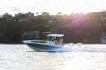New Chris Craft Catalina 31