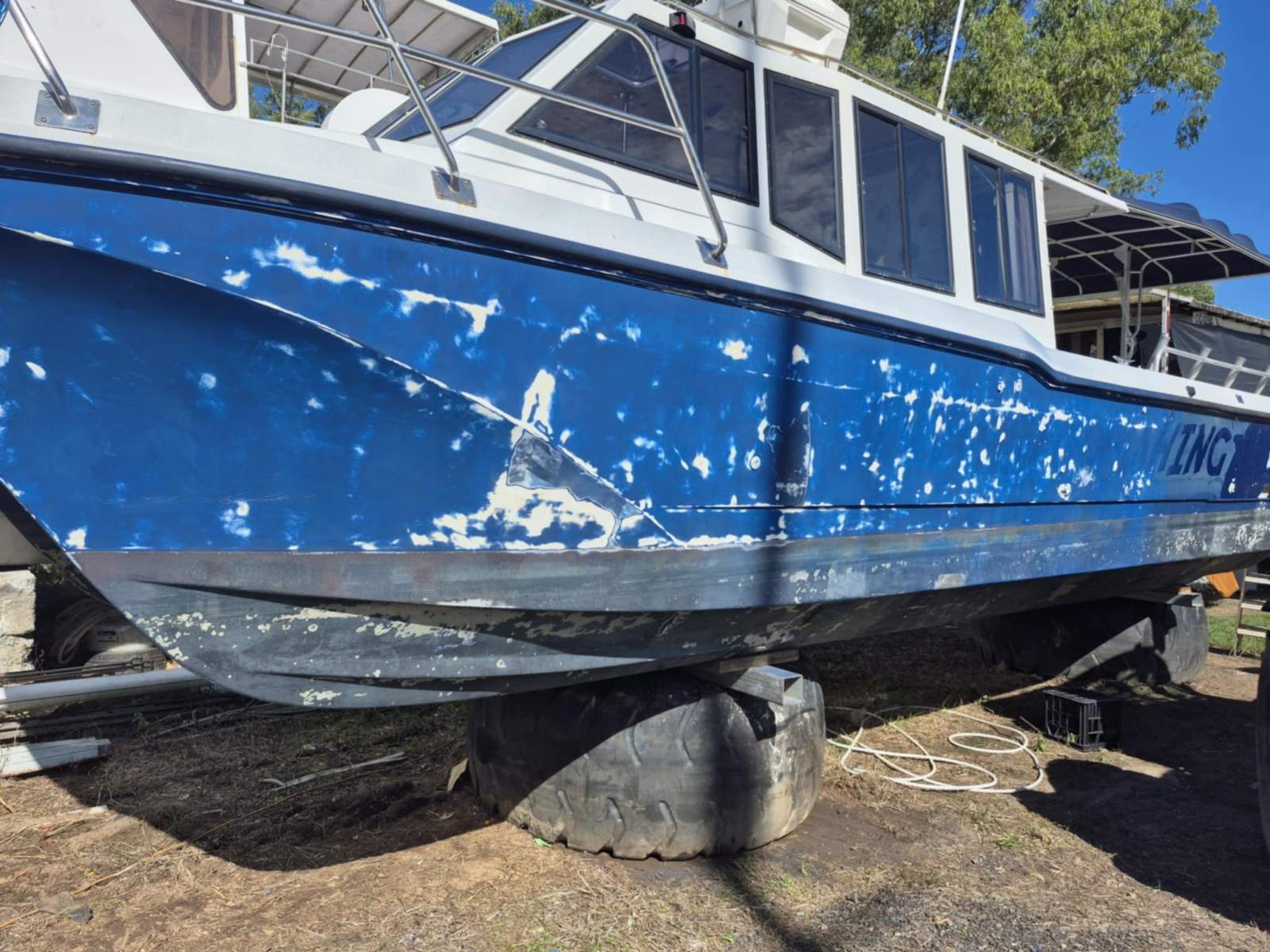 Cougar Cat 9.8 SURVEY 2C: 12 +2