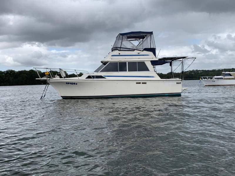 Mariner 31 Flybridge