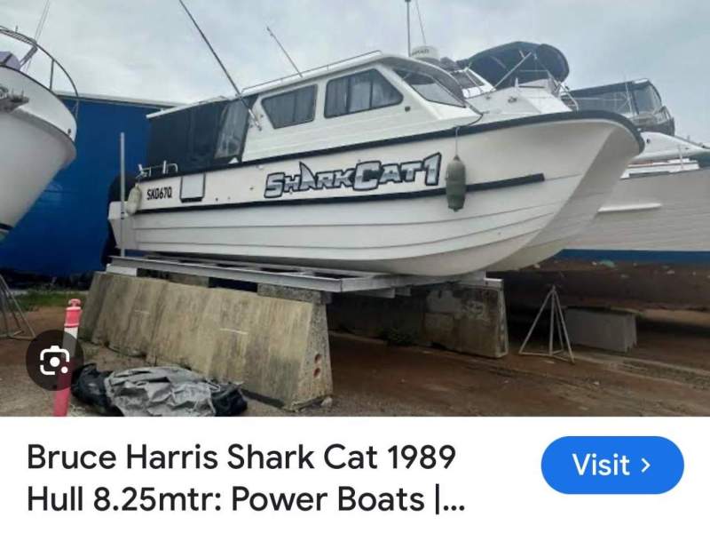 Shark Cat 2800