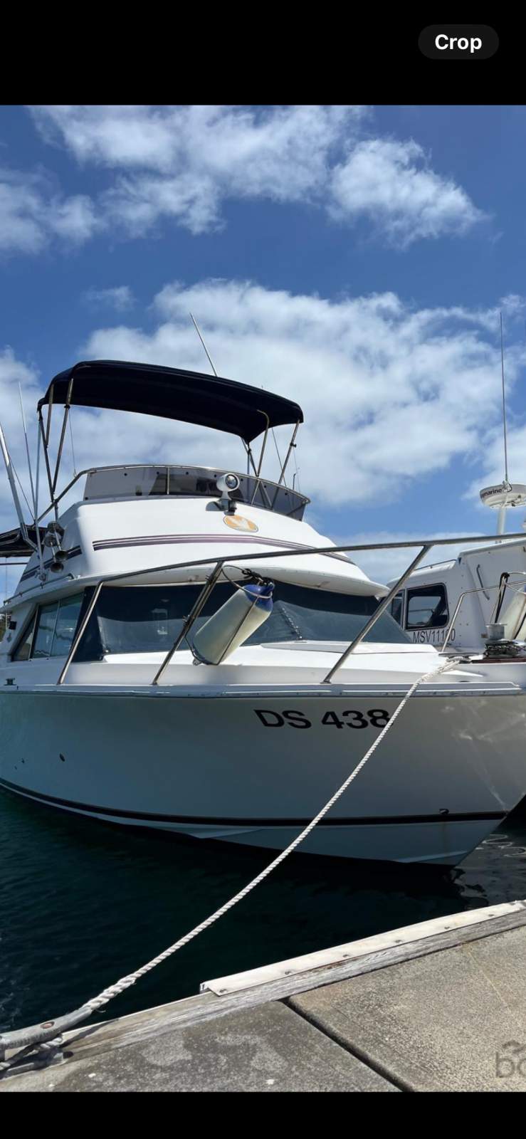Bertram 28 Flybridge