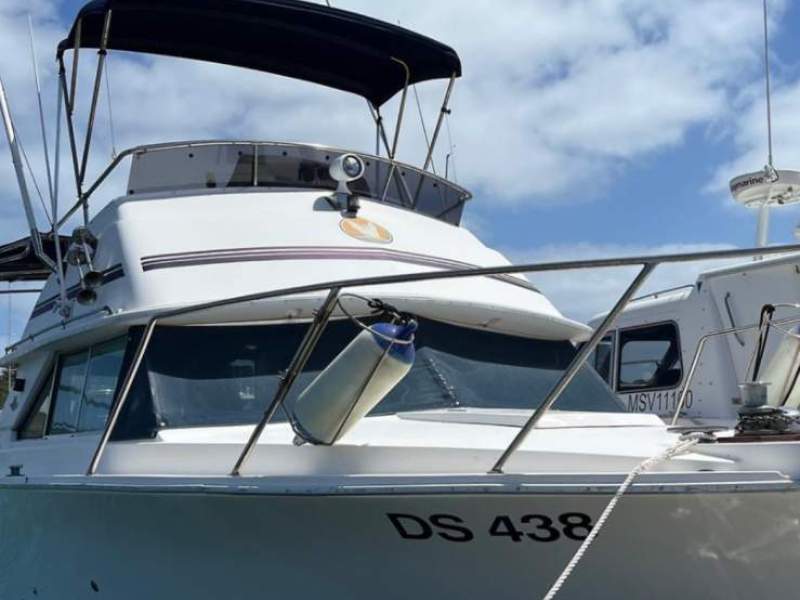 Bertram 28 Flybridge