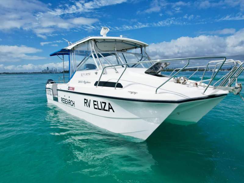 Kevlacat 2400 Offshore