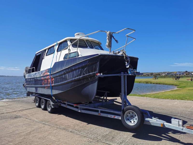 Cape Cat SC Shark Cat