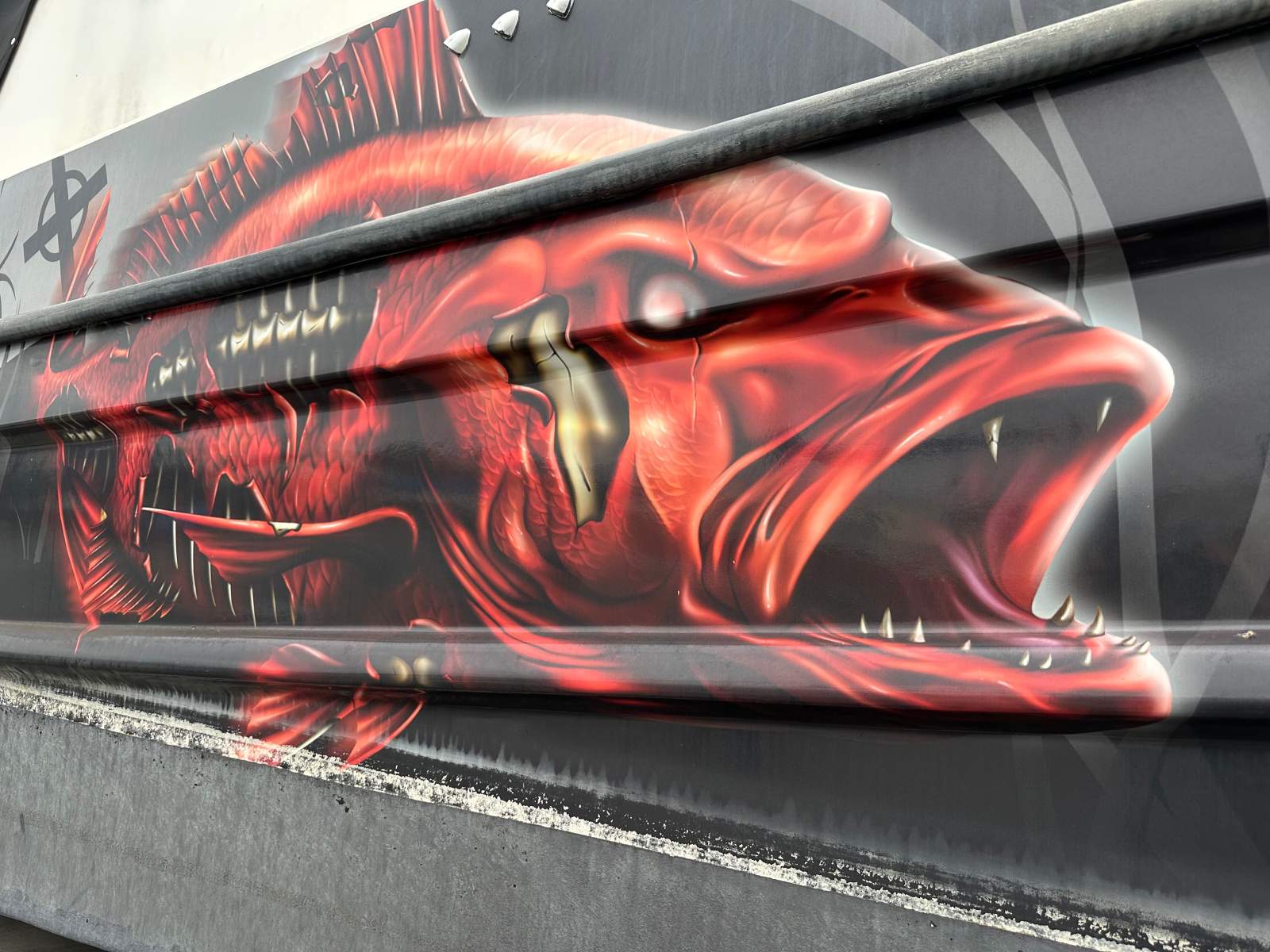 Cape Cat SC Shark Cat