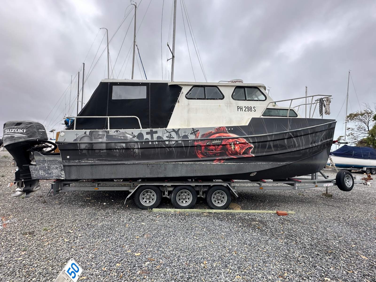 Cape Cat SC Shark Cat