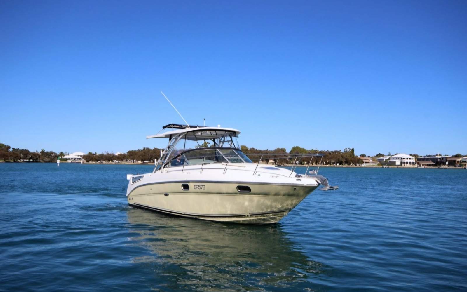 Sea Ray 290 Amberjack