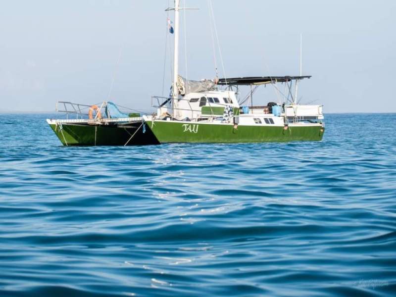 Wharram Tiki 38 Hybrid - Assist by James Wharram