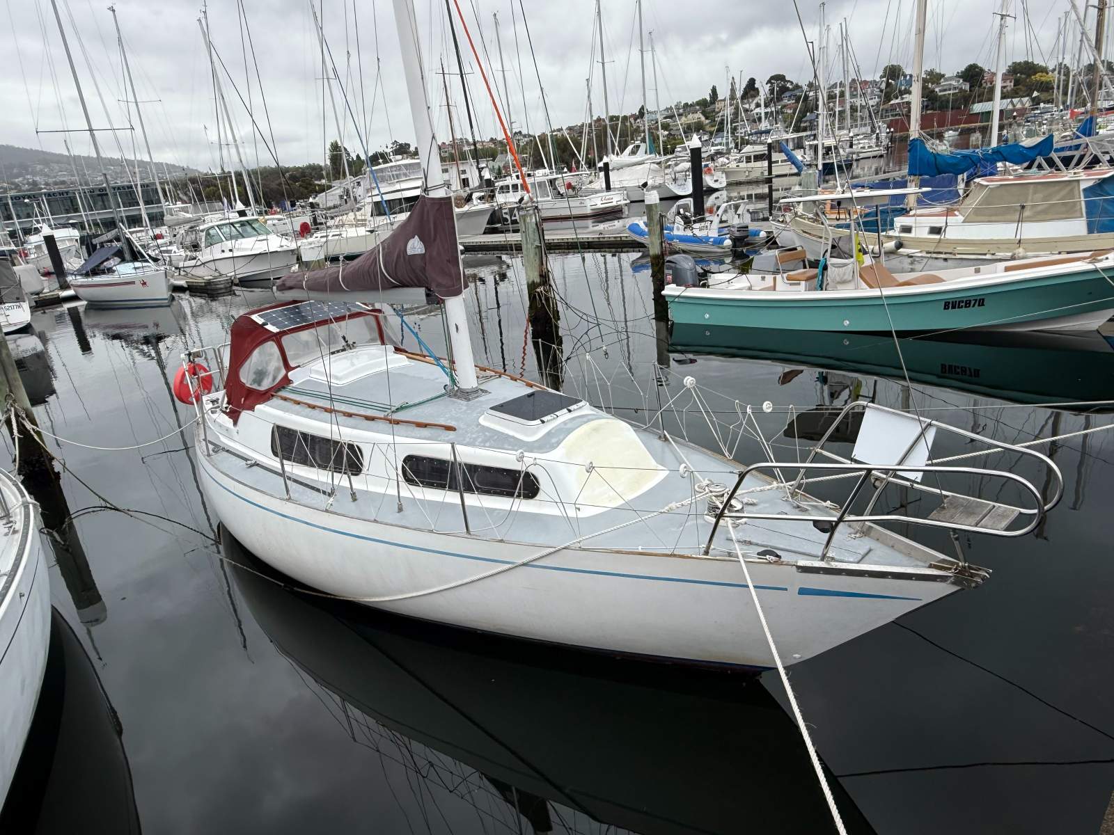 Knoop 30 "Impara II" (Doven 30') - GREAT VALUE FOR MONEY