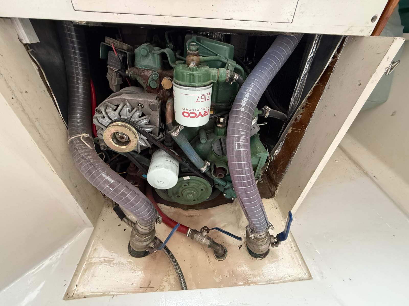 Knoop 30 Impara II (Doven 30) &ndash; GREAT VALUE FOR MONEY