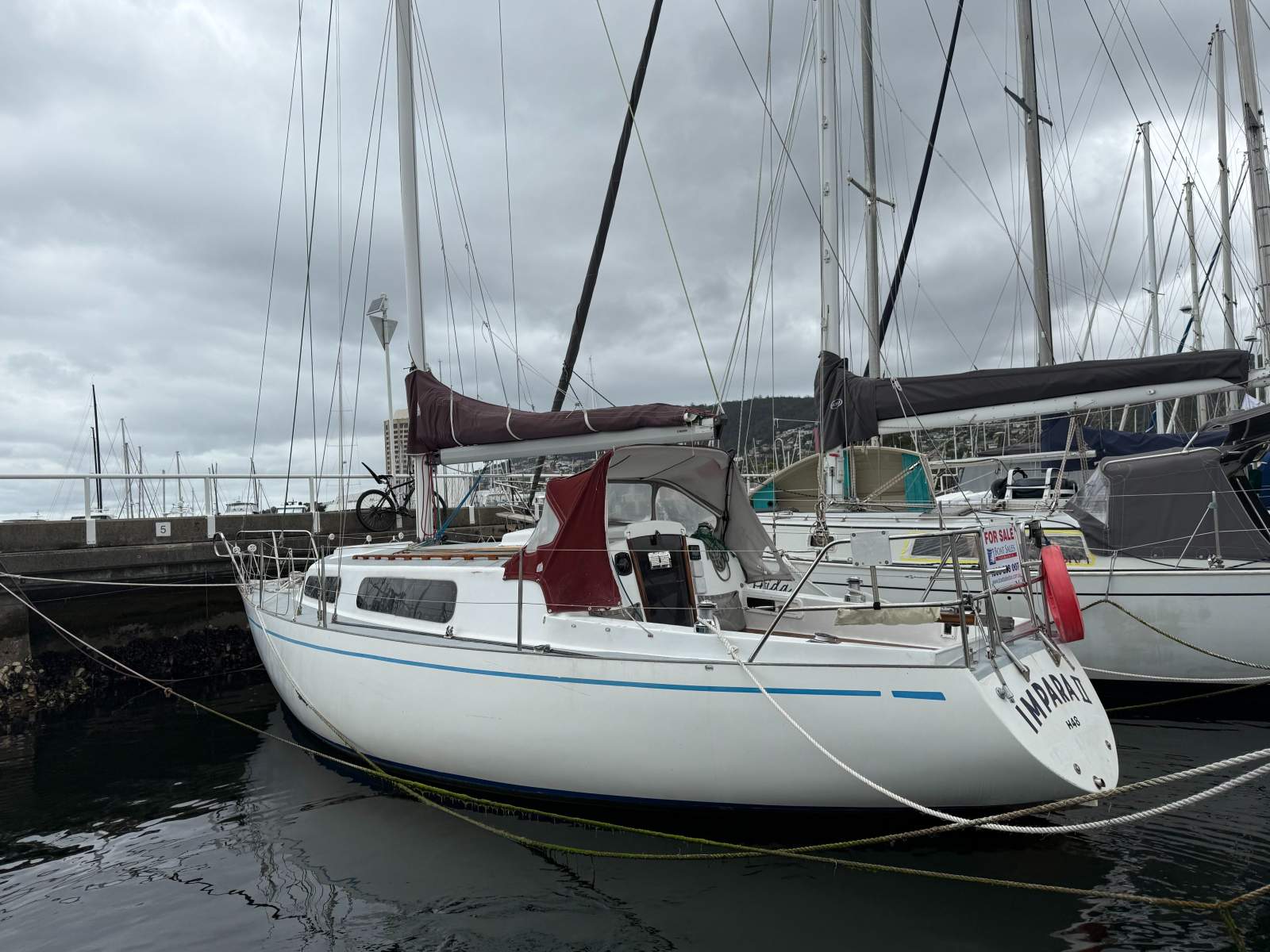 Knoop 30 Impara II (Doven 30) &ndash; GREAT VALUE FOR MONEY