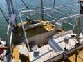 Roberts 33 Fiberglass Yacht Diesel (Sydney Harbour)
