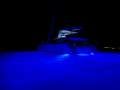 Lagoon 560:Underwater lights