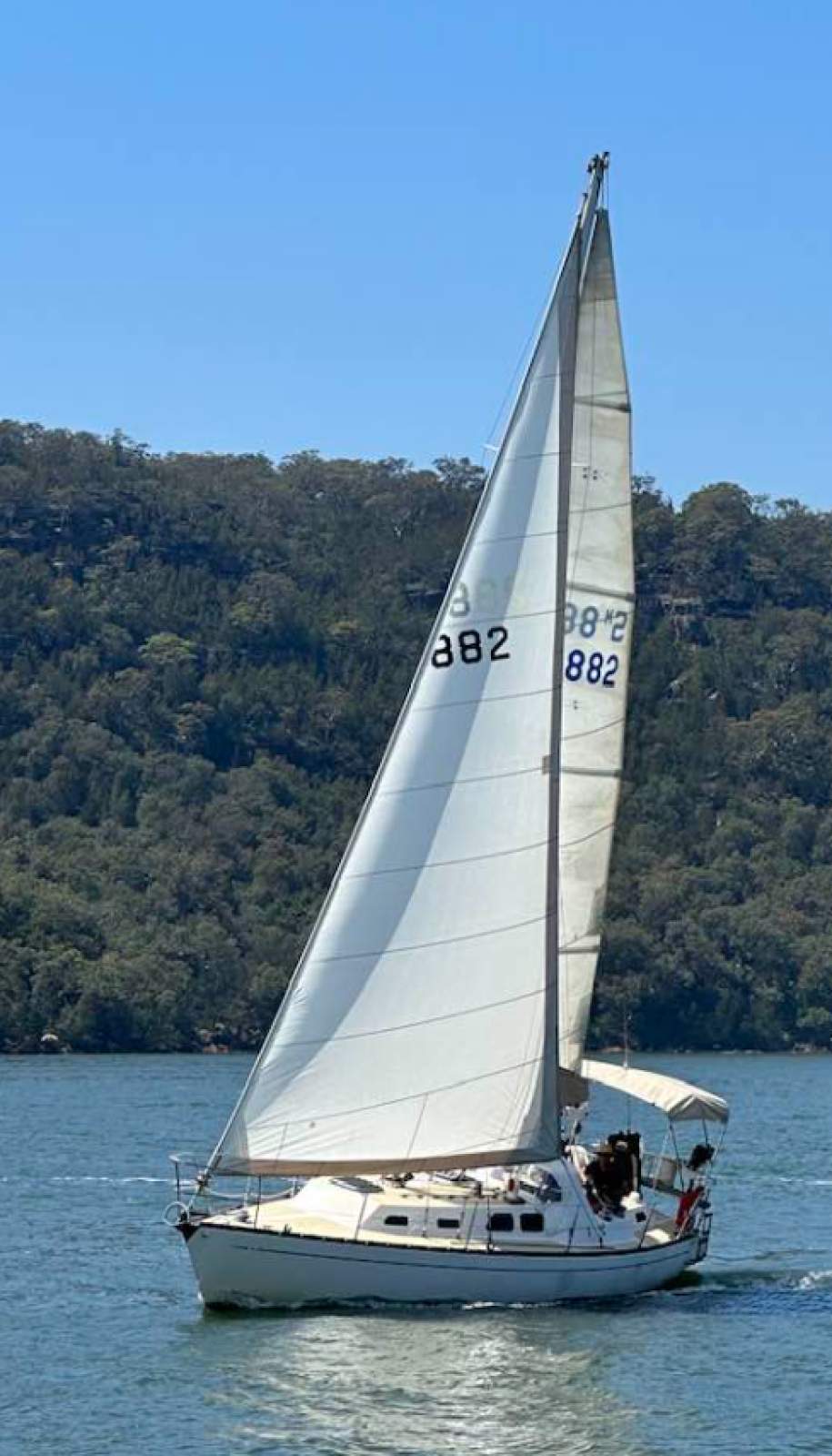 Mottle 33