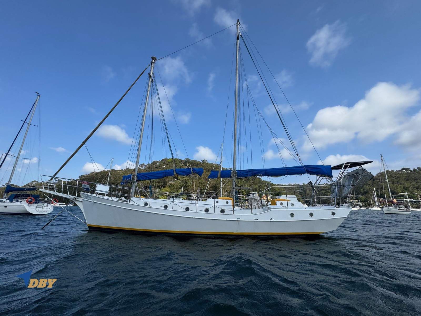 Colvin Gazelle Gazelle