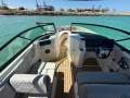 New Sea Ray 250 SDX OB:View fwd