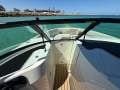 New Sea Ray 250 SDX OB:Bow closes off