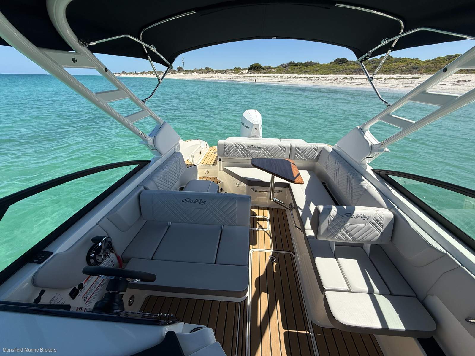 New Sea Ray 250 SDX OB:BIG shade