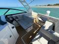 New Sea Ray 250 SDX OB:Captains chair fwd/back