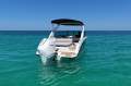 New Sea Ray 250 SDX OB