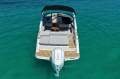 New Sea Ray 250 SDX OB