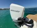 New Sea Ray 250 SDX OB:300 V8 Verado