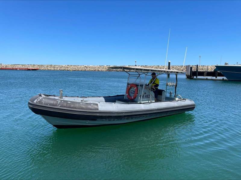 Zodiac Hurricane 733