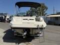 Sea Ray 220 Sundeck 2006 model Neat and very clean 5L Mpi 345hrs old