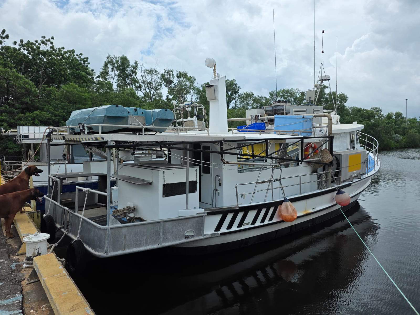 15.8 m Spanish mackerel boat in AMSA survey