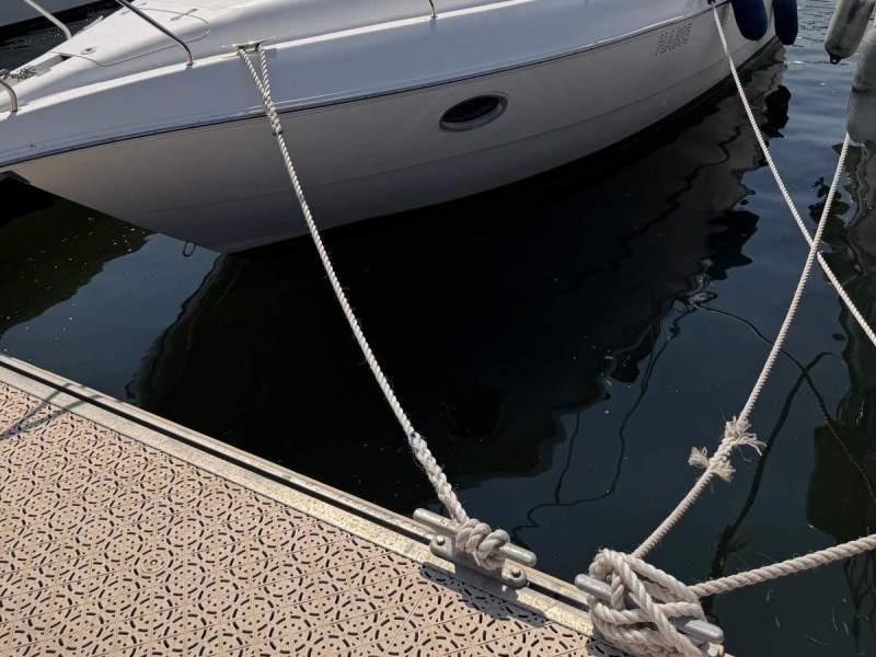 Sunrunner 3300LE Immaculate, rare single engine, repowered