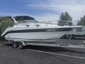 Predator 2800 Sport Cruiser On custom built alloy tandem trailer