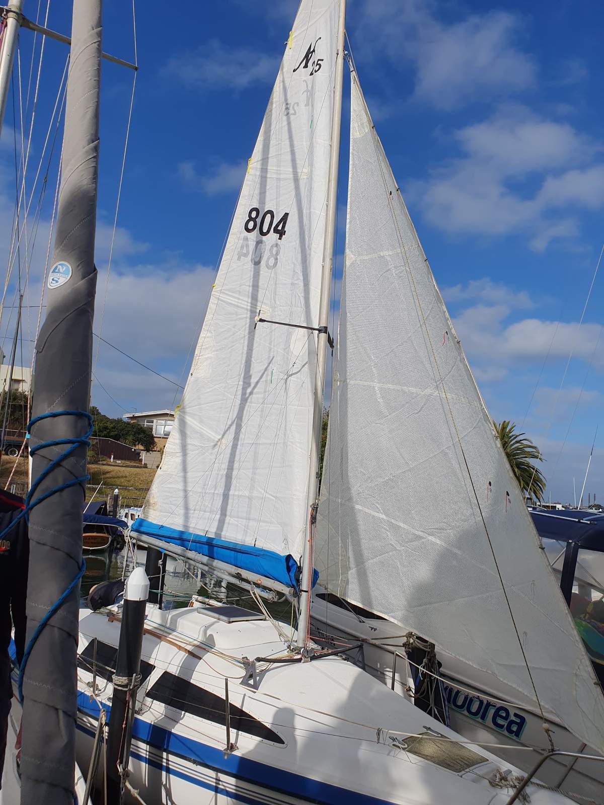 Noelex 25 Pop top sail number 804