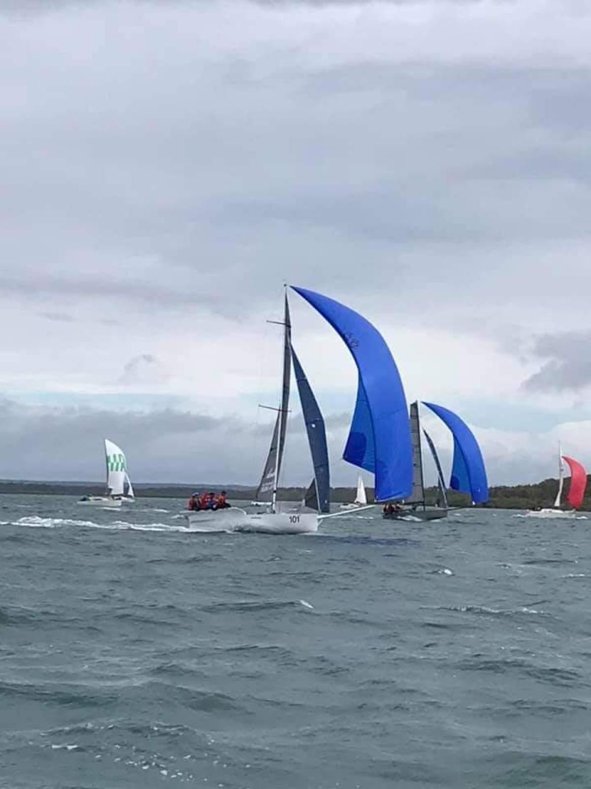 Sportsboat 8m Sports Boat - "Lambourdini"