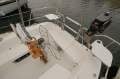 Catalina 34 MK II ~ Shoal draft 1.3m, Hinged mast