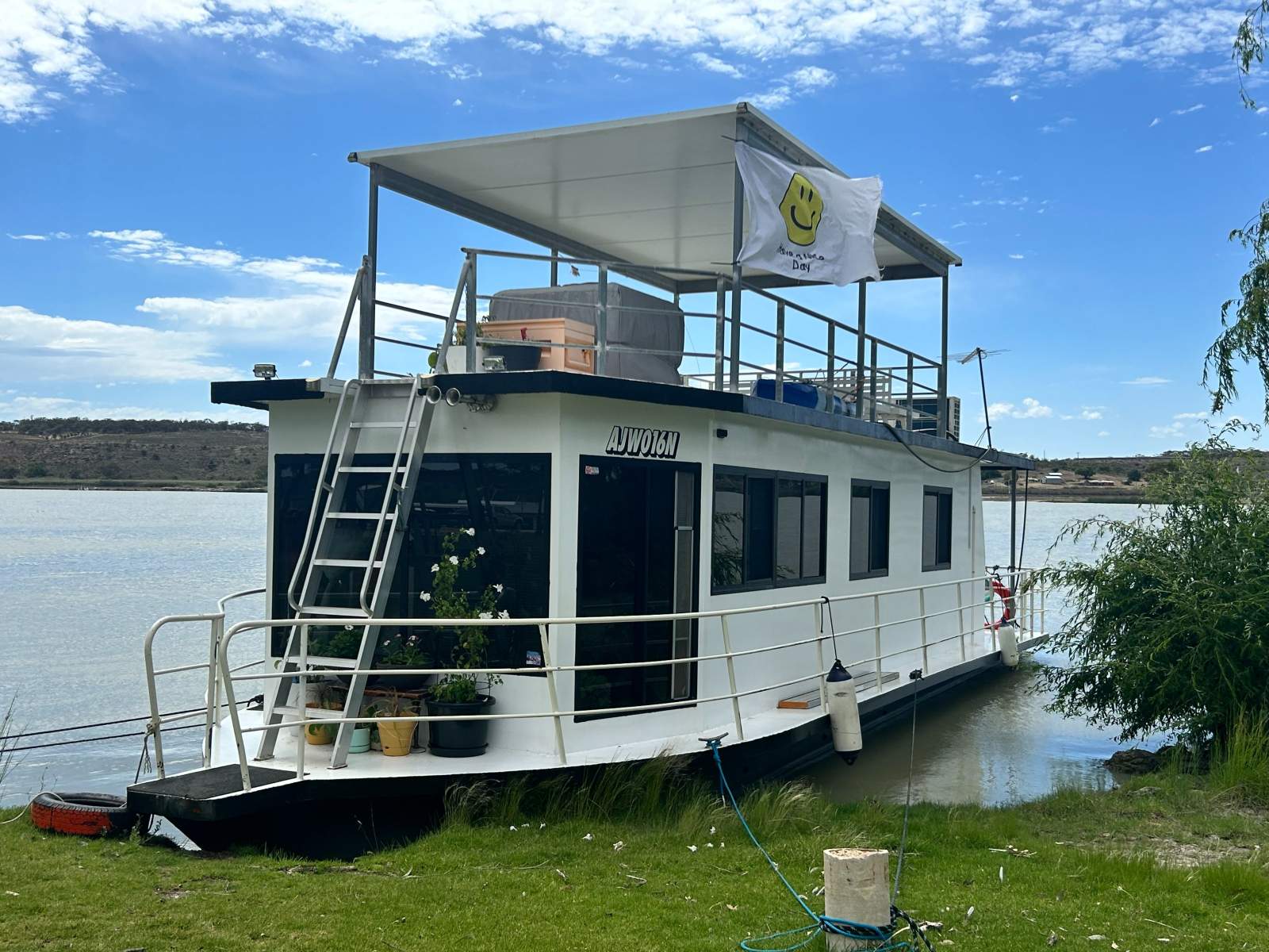 Lil Willow - Perfect for the First Timer!