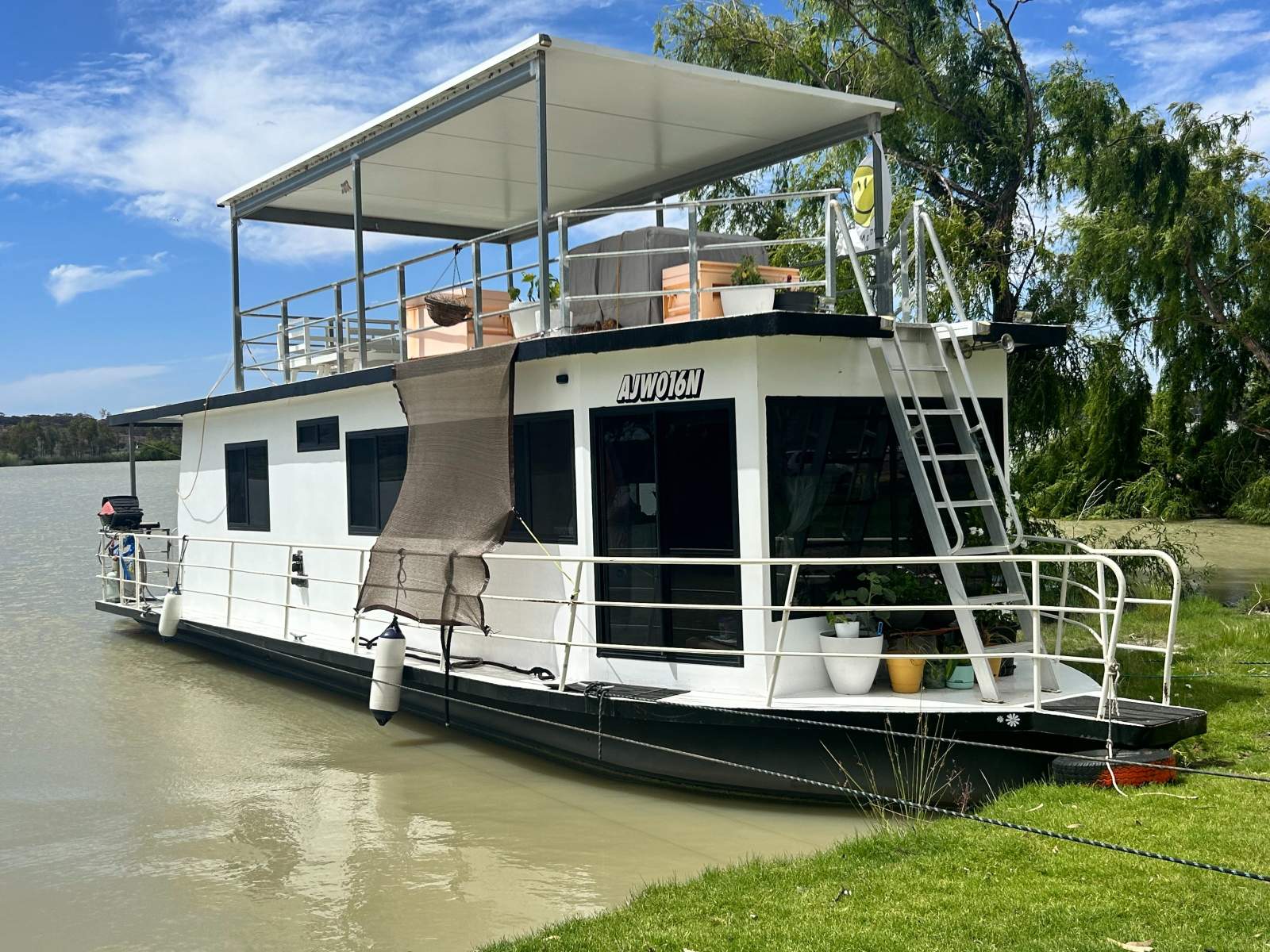 Lil Willow - Perfect for the First Timer!