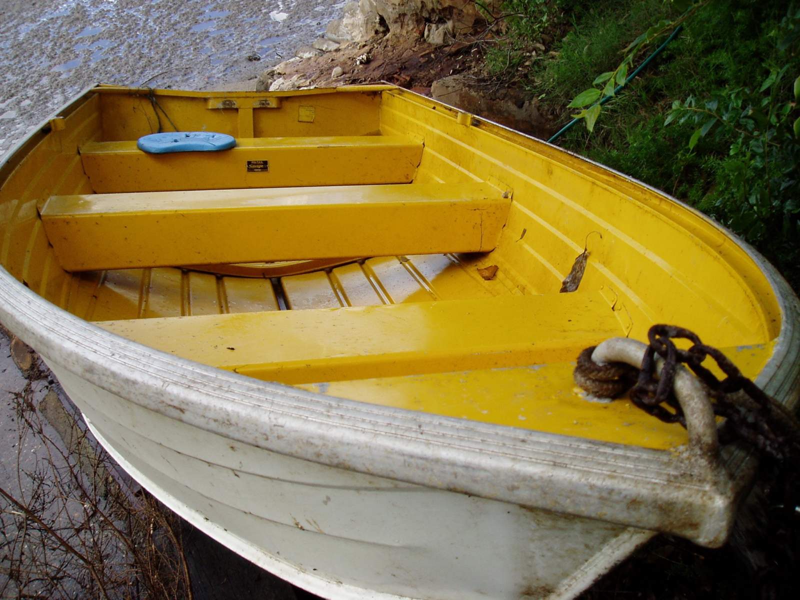 Savage 348 Pintail with Outboard