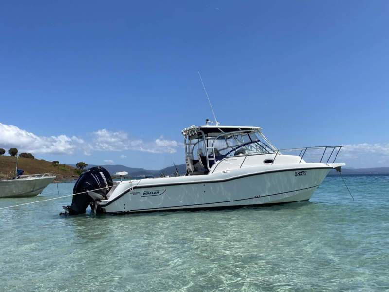 Boston Whaler 285 Conquest - Perfect Fishing / Family platform for Tasmania
