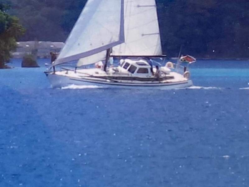 Savage Oceanic Oceanic 13 Sugar scoop professionally added 46'