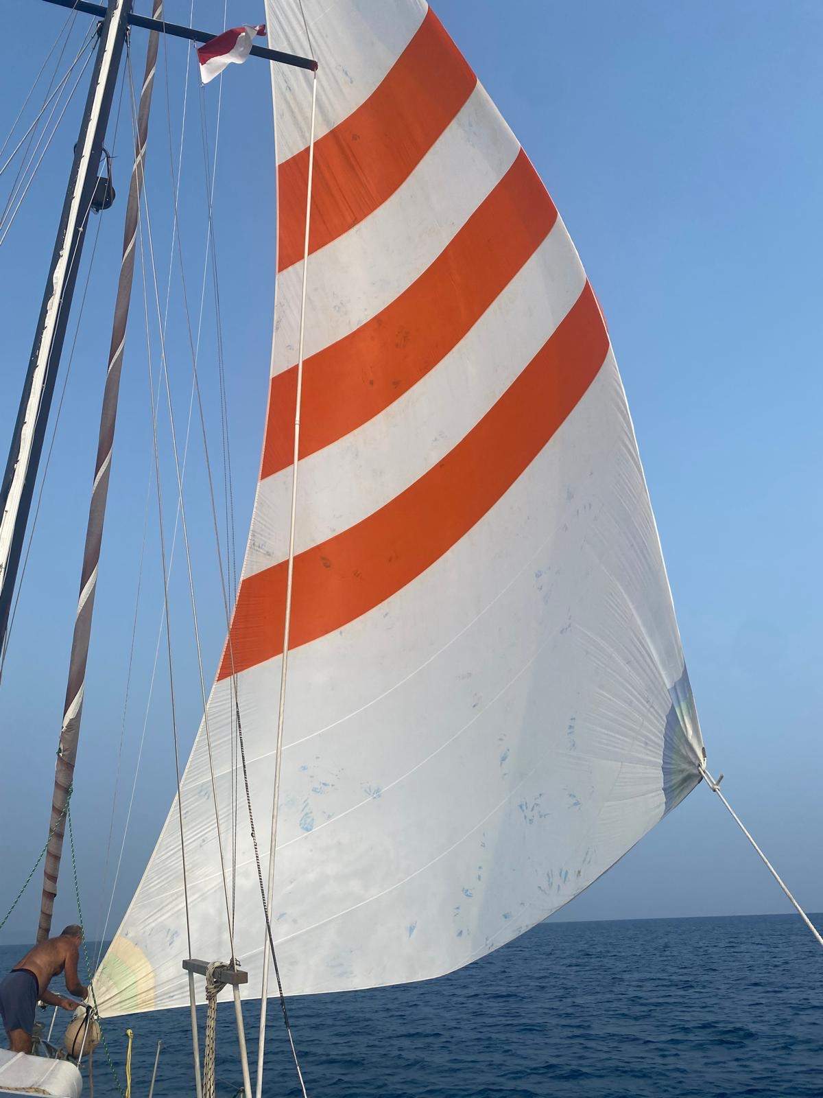 Savage Oceanic Savage Oceanic 13 with Sugar scoop 46'