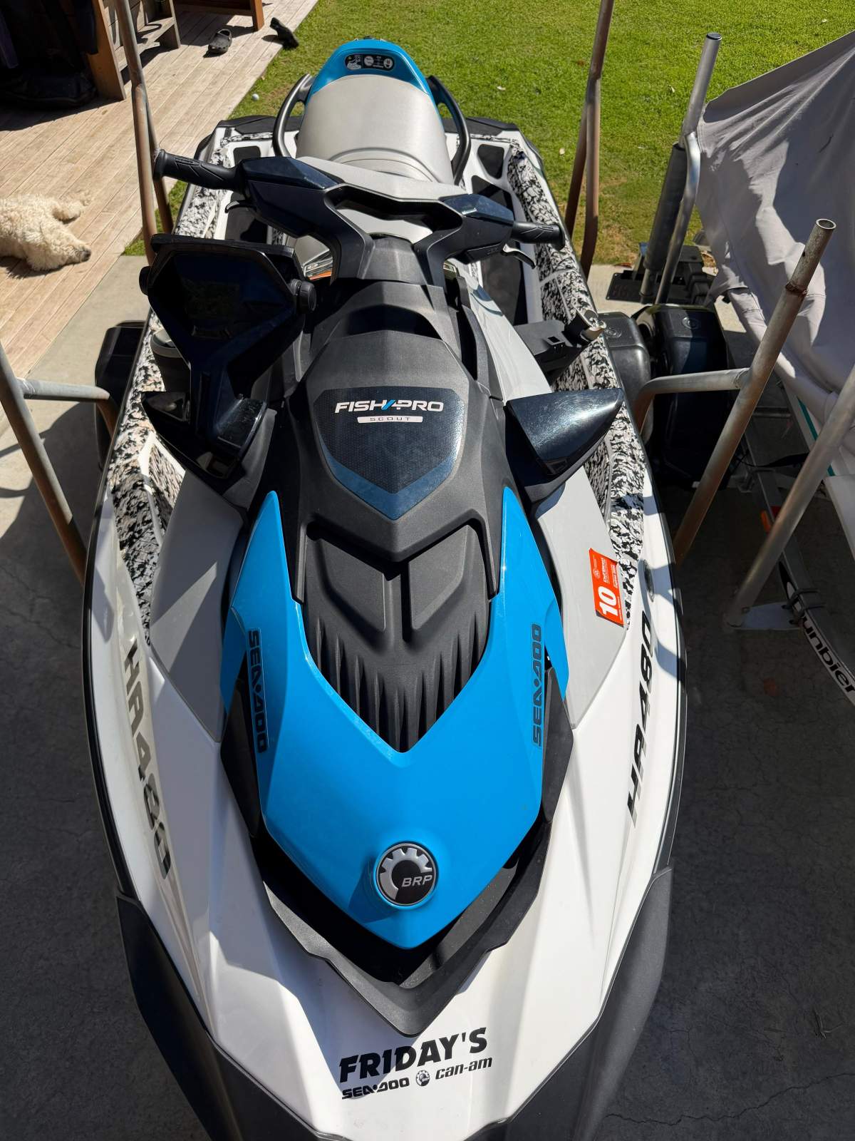 Sea-Doo Fish Pro Scout 130 with Dunbier trailer