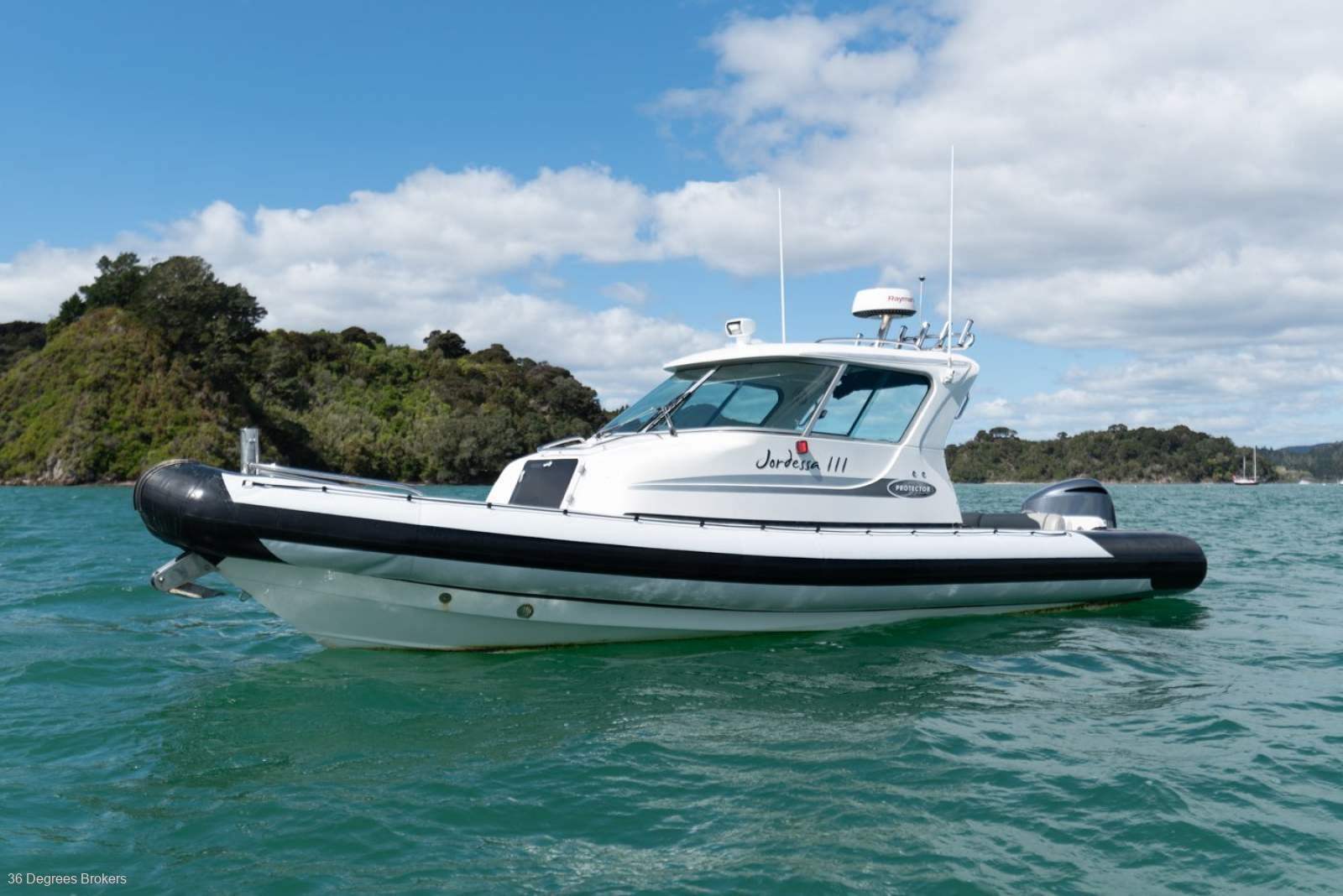 Rayglass Protector 8.5