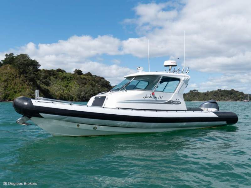 Rayglass Protector 8.5