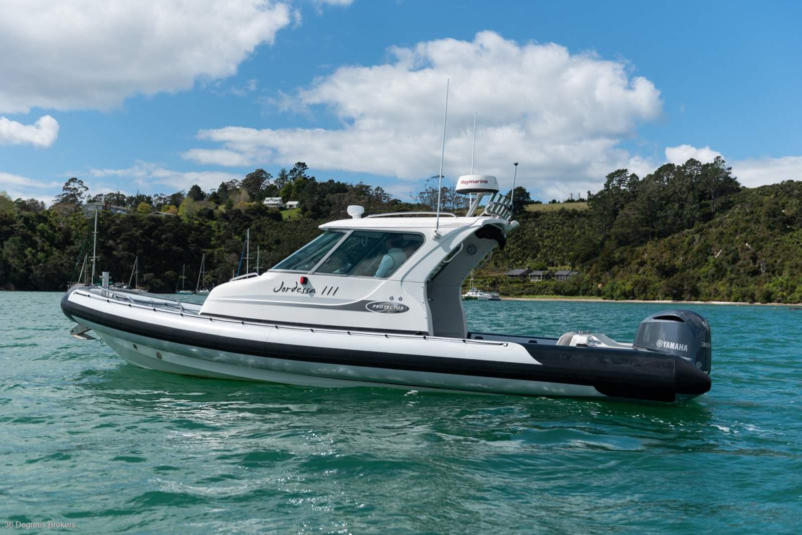 Rayglass Protector 8.5