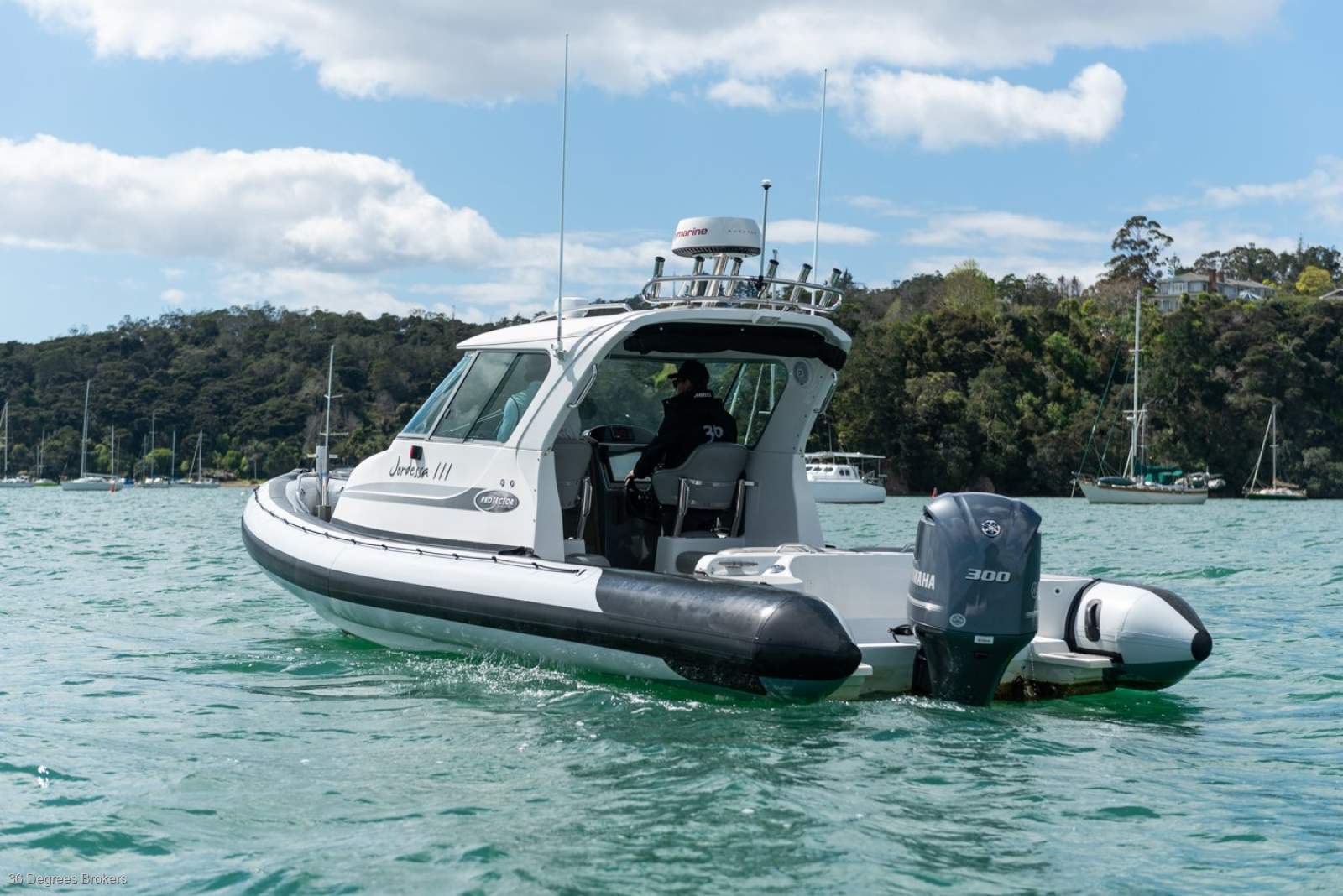 Rayglass Protector 8.5