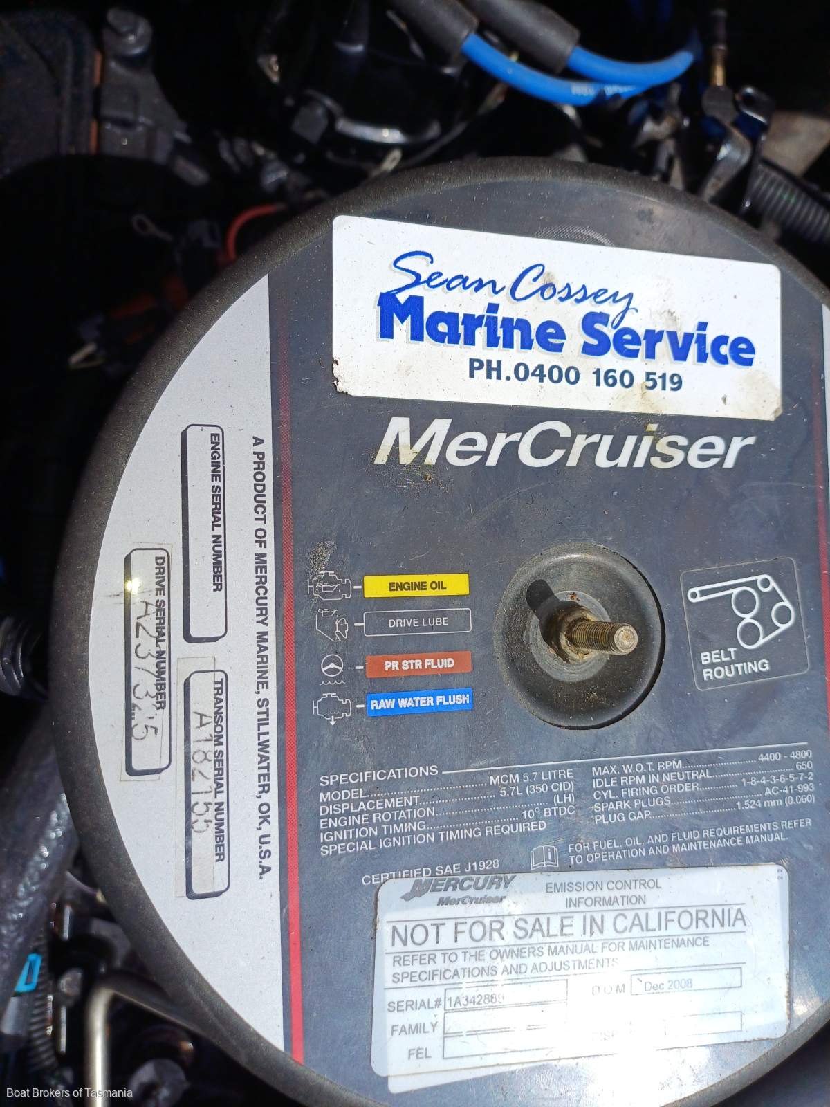 Caribbean Reef Runner 21. Only 7 engine hours on late model Mercruiser. Boat Brokers of Tasmania