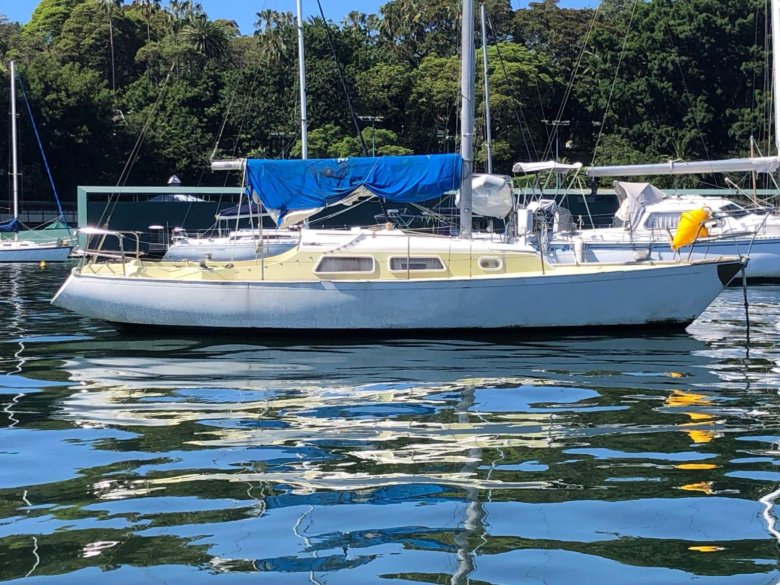 Contessa 25 Fiberglass yacht Mooring Option ( Sydney Harbour)