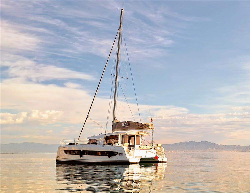 Bali Custom Builders Catsmart