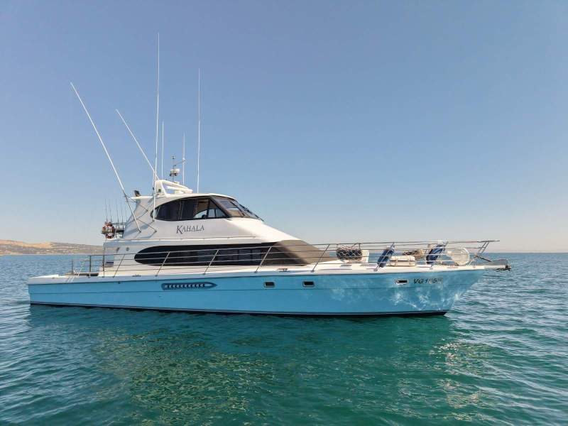 Salthouse 65 With new electronics and paint job