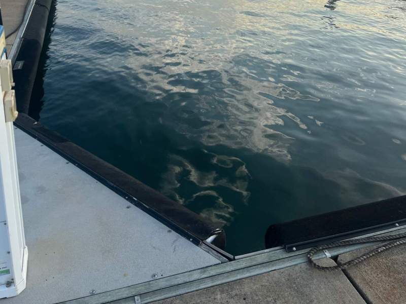 Westport Marina Cabarita